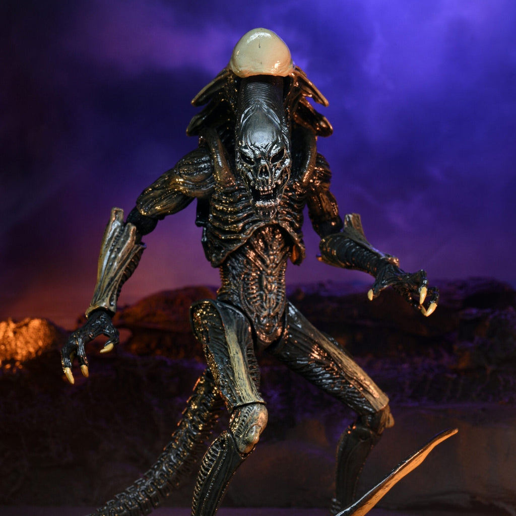 NECA Alien vs. Predator Chrysalis (Movie Deco)
