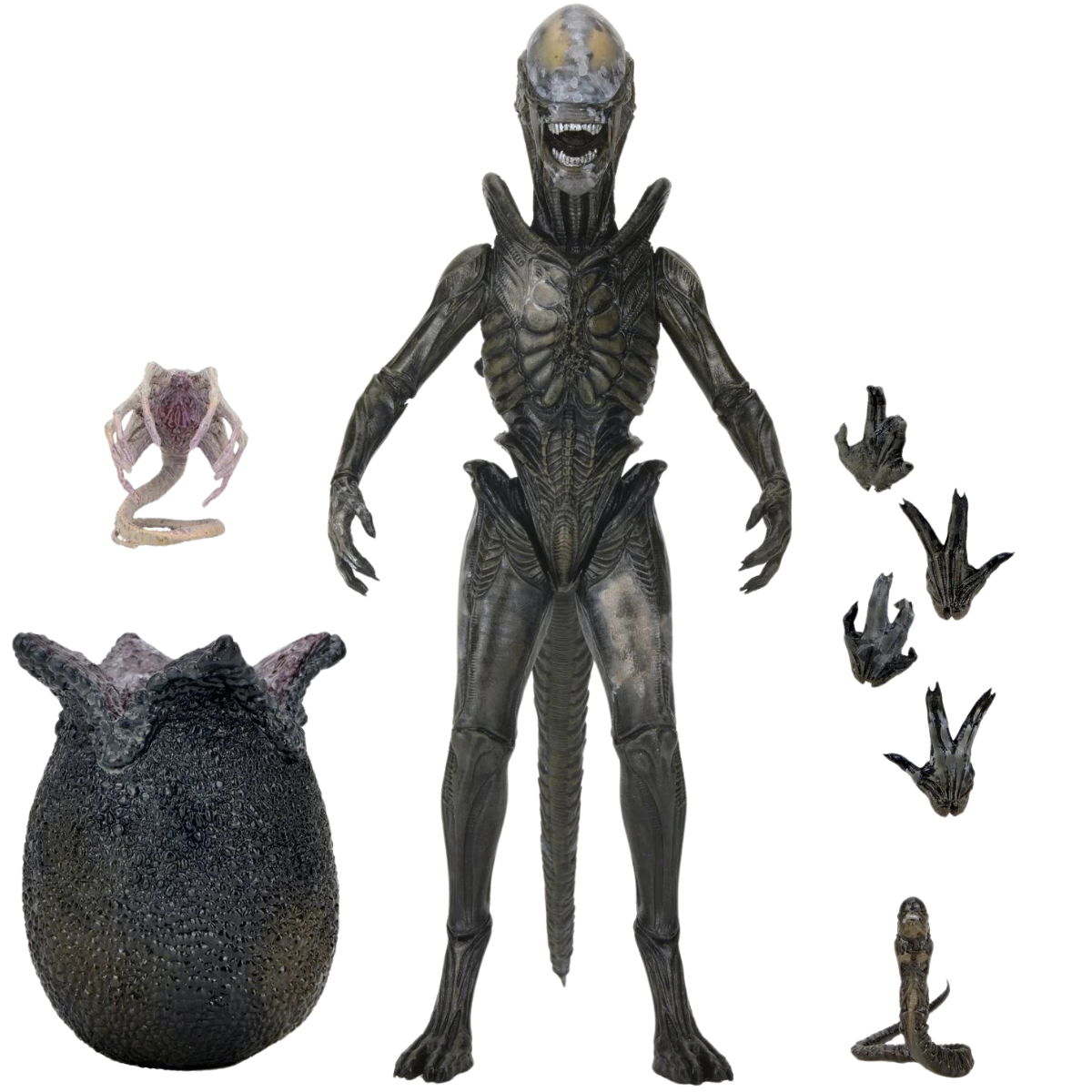 NECA Alien Earth Ultimate Wendy's Xenomorph