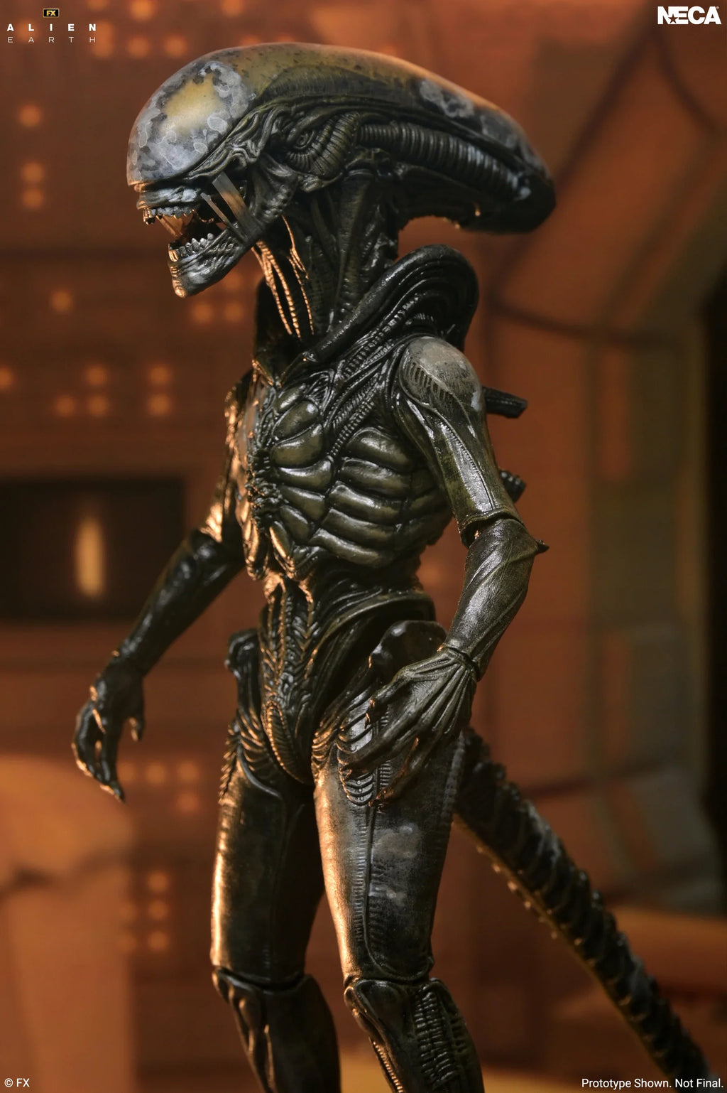 NECA Alien Earth Ultimate Wendy's Xenomorph