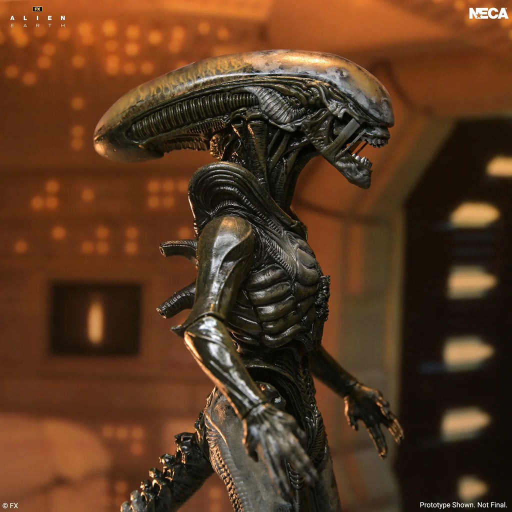 NECA Alien Earth Ultimate Wendy's Xenomorph