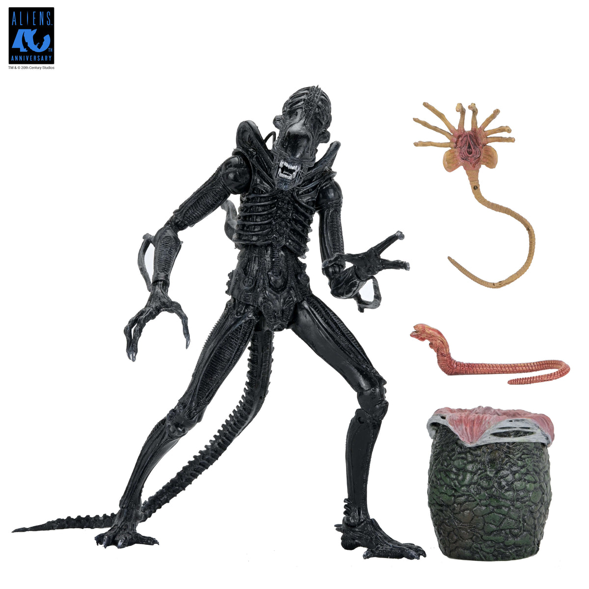 NECA Aliens 40th Anniversary Ultimate Warrior Xenomorph
