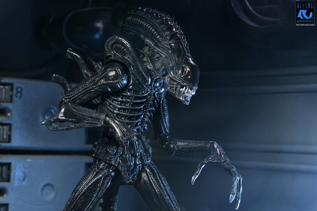 NECA Aliens 40th Anniversary Ultimate Warrior Xenomorph