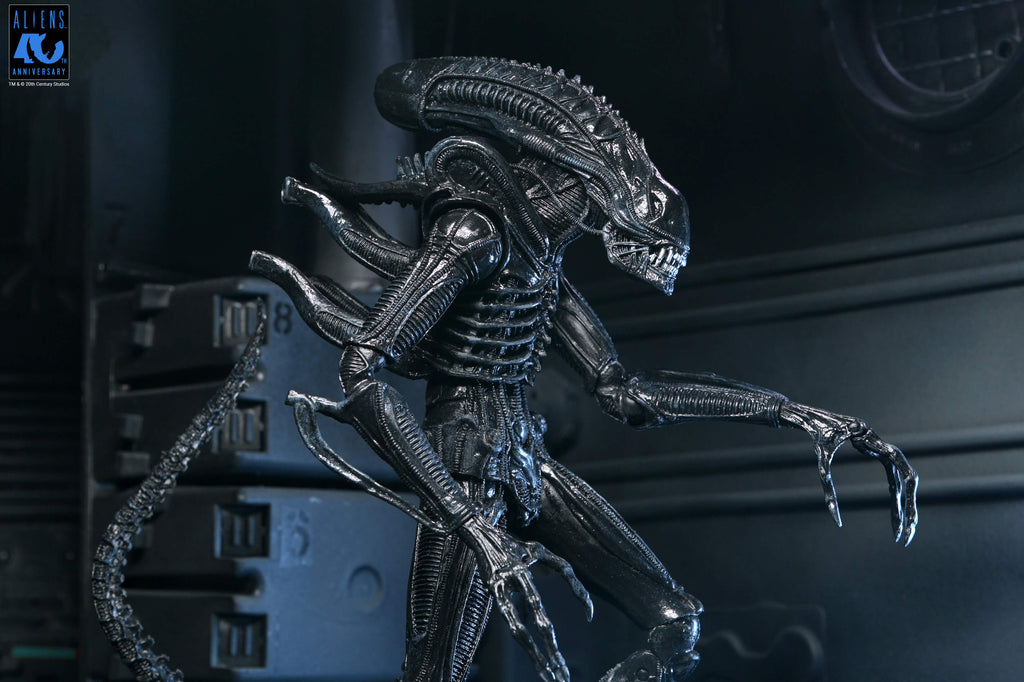 NECA Aliens 40th Anniversary Ultimate Warrior Xenomorph