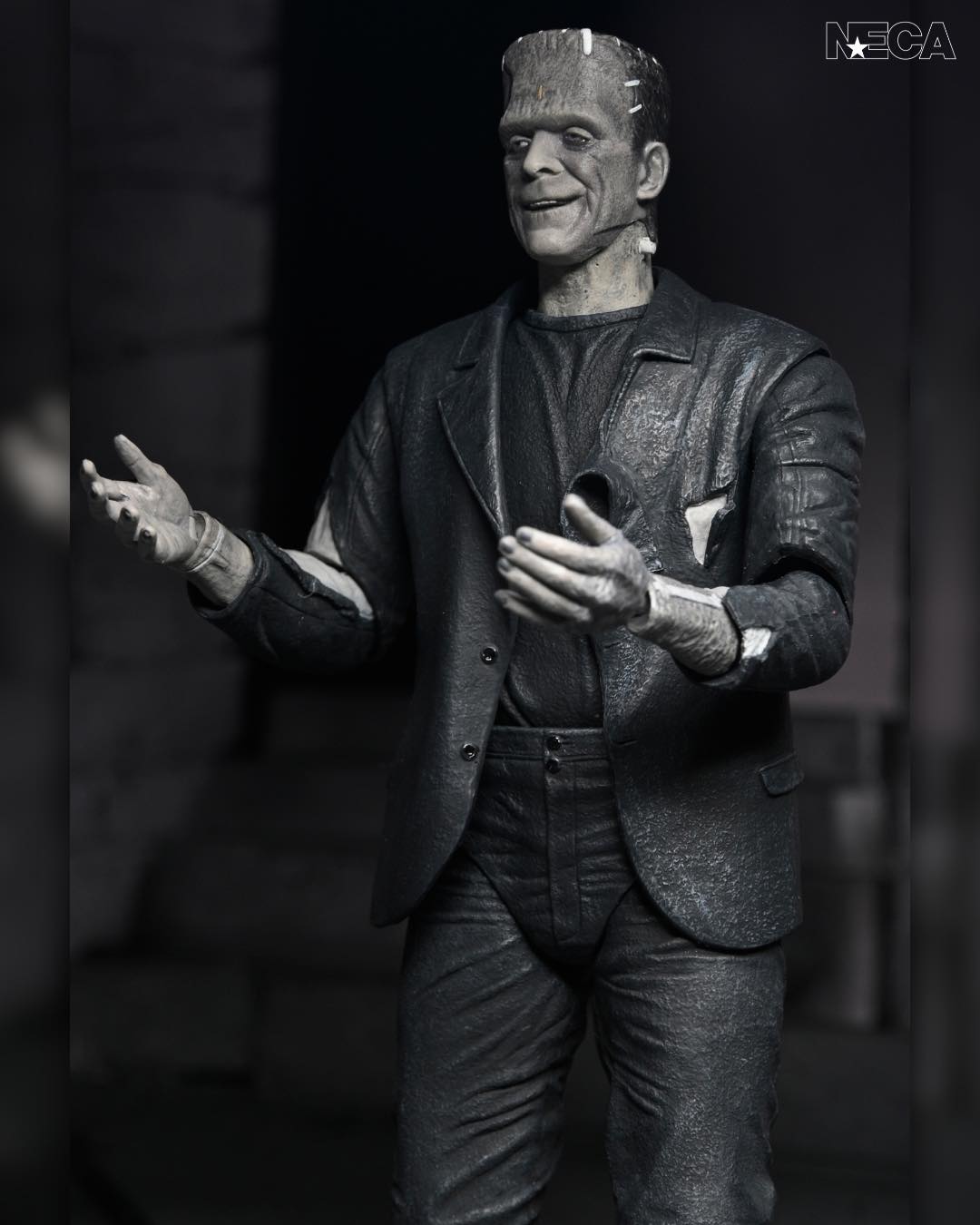 NECA Universal Monsters Bride Of Frankenstein 90th Anniversary The Monster & His Mate 2-Pack (Black & White)