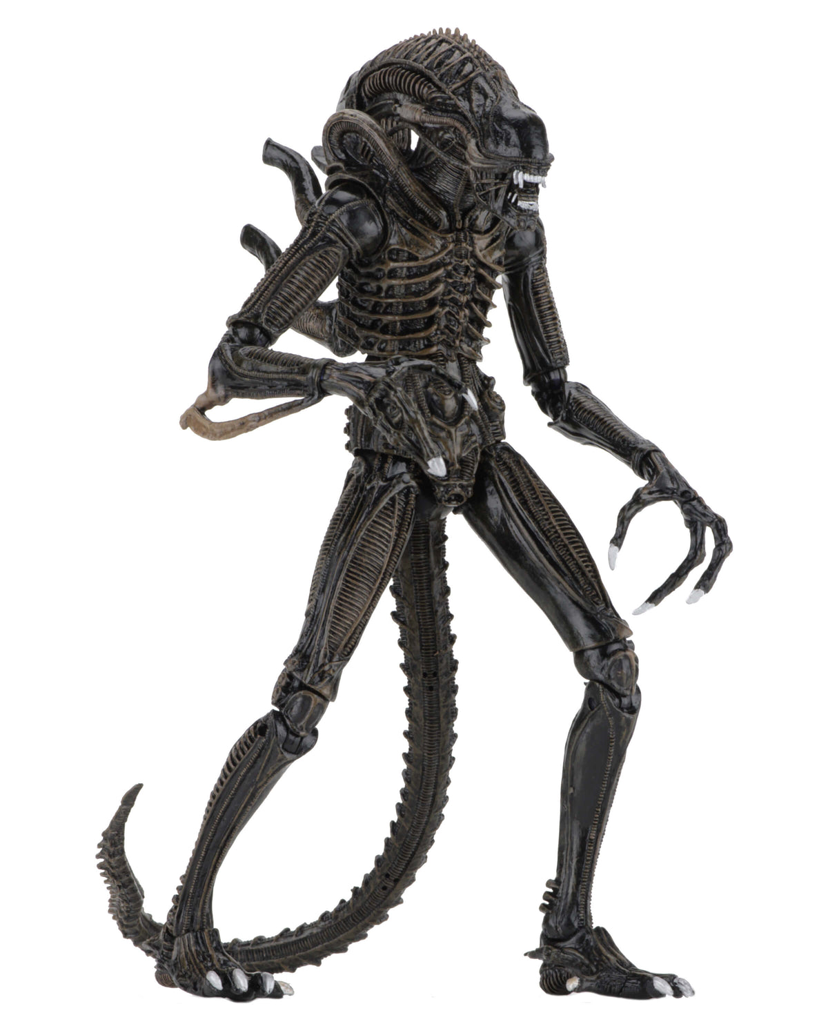 NECA Alien 1986 Ultimate Aliens Warrior (Brown Version)