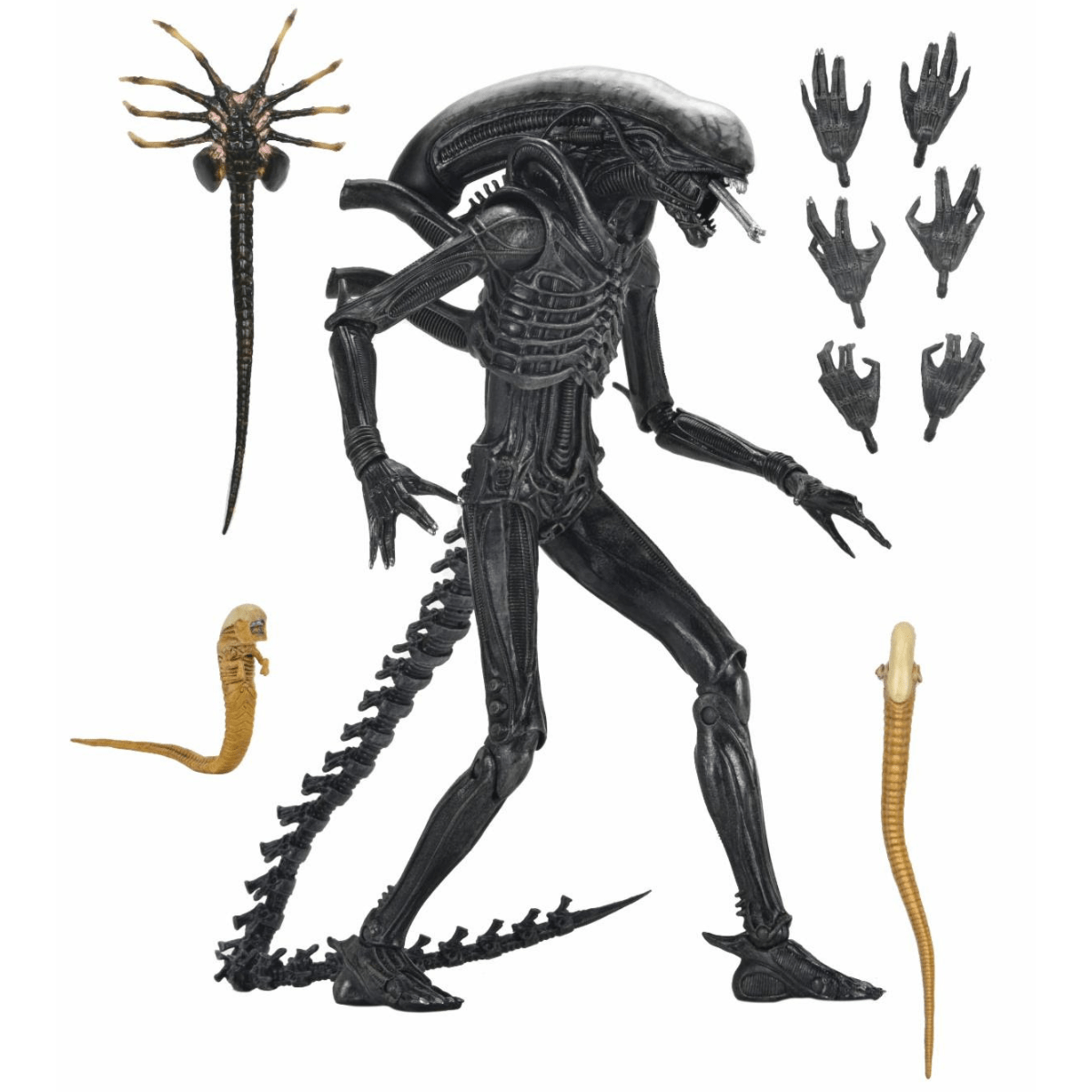 NECA Alien: Romulus Ultimate Xenomorph XX121